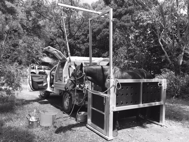 FullSizeRender - Copy